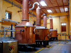 Destilería de bebida alcohólica