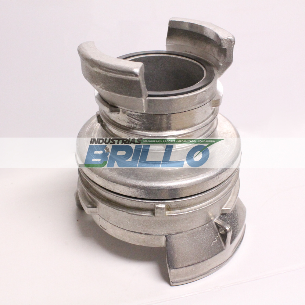 Guillemin reduccion cc al Guillemin reduccion cc al