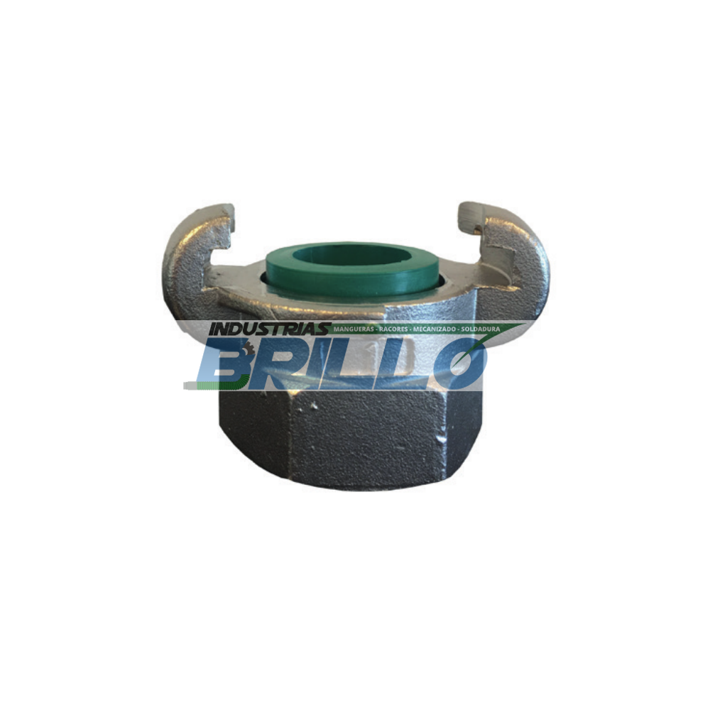 Europeo hembra fija inox Europeo hembra fija inox