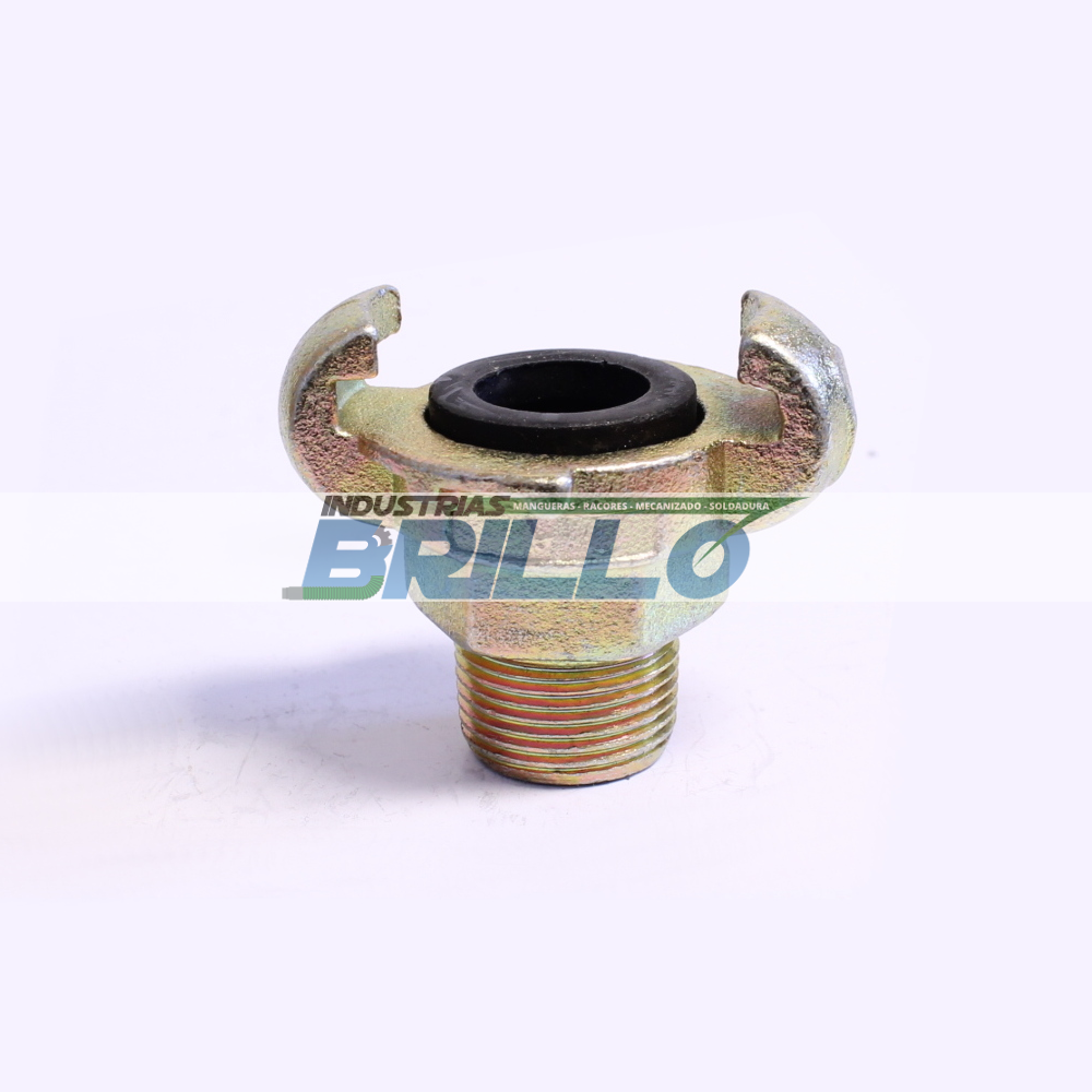 Europeo macho fija ac Europeo macho fija ac