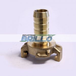 Express para manguera laton